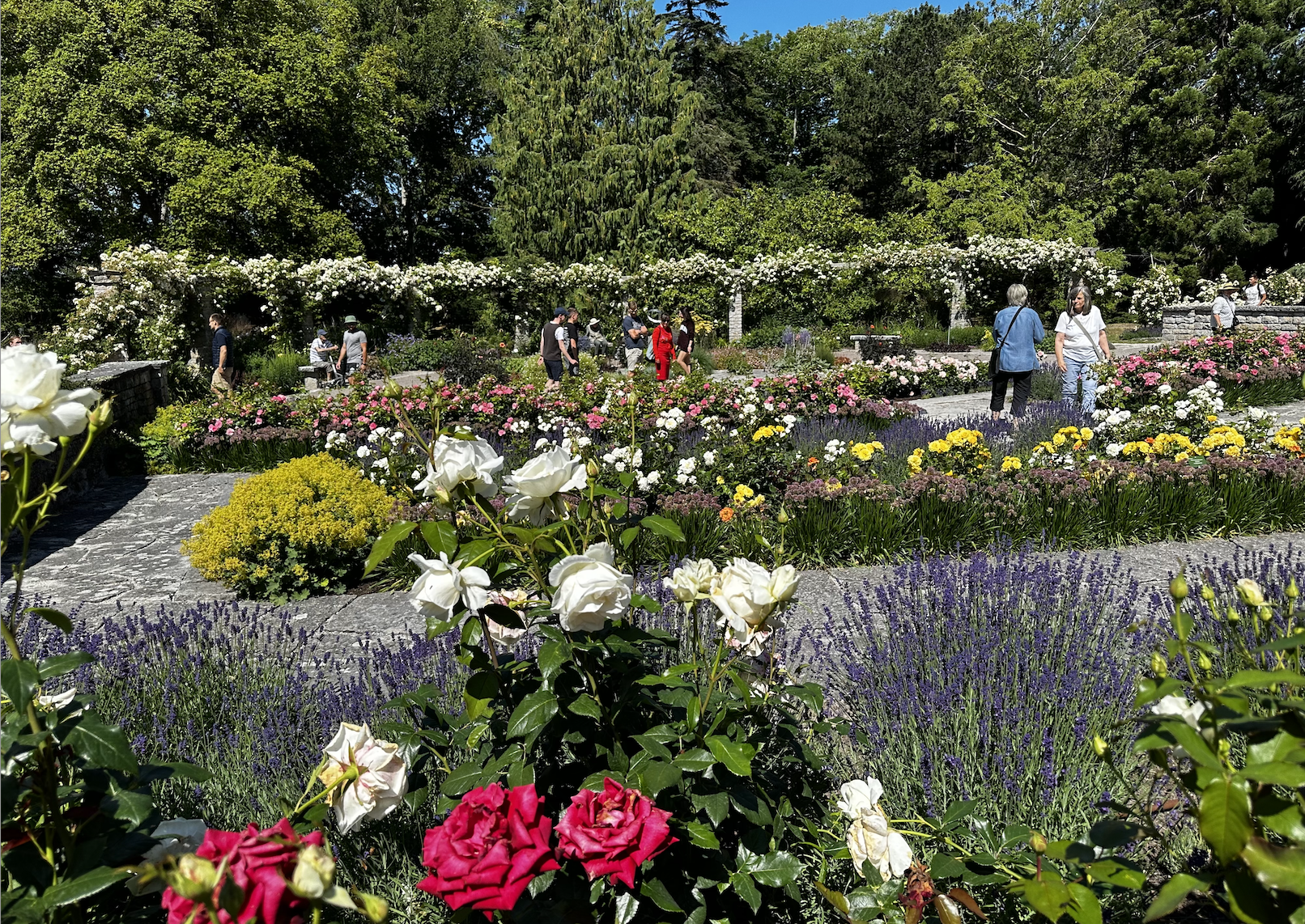 Botaniska trädgården Visby