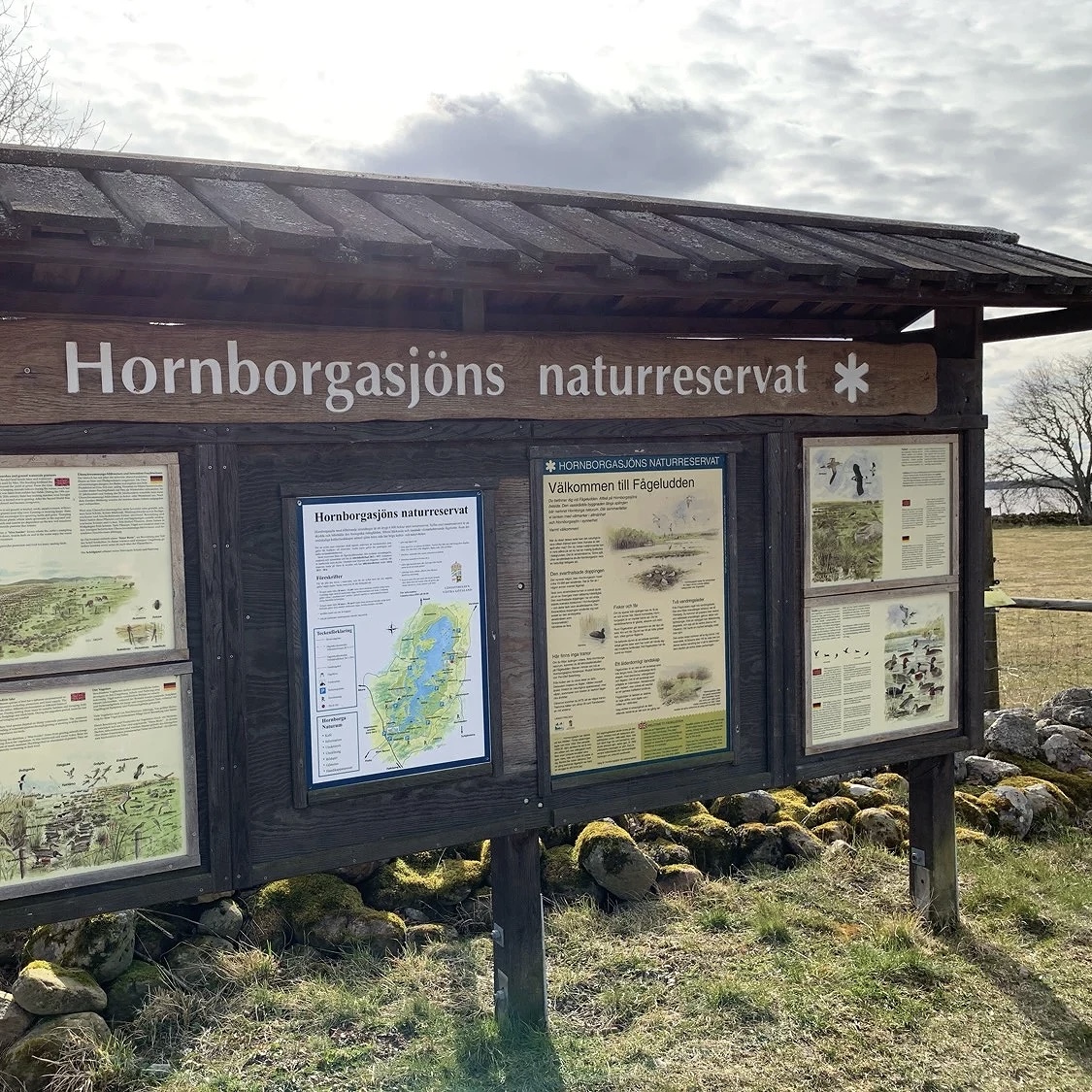 Hornborgasjön - Trandansen